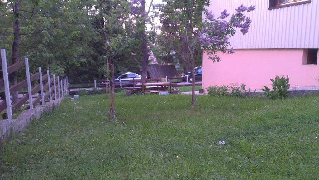Žabljak米莱娜武齐尼奇旅馆住宿加早餐旅馆 外观 照片